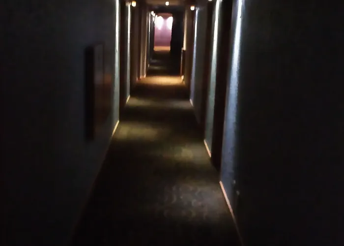 Mexicali Hotel 3*